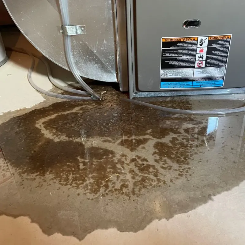 Pipe Burst and Leak Restoration in Beaver City, NE